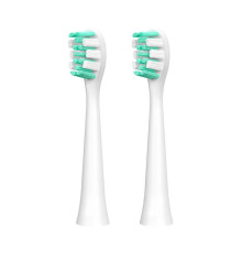 Насадка для зубной электрощетки Jimmy Toothbrush Head for T6 2 шт (1N950001E)