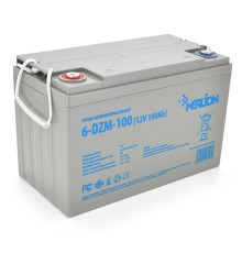 Аккумуляторная батарея Merlion 12V 100AH (6-DZM-100/18093) AGM