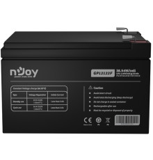 Аккумуляторная батарея Njoy GP12122F 12V 12AH (BTVACATBCTI2FCN01B) AGM