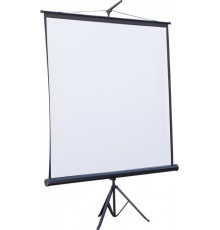 Проекционный экран Atria 100" (203x153, 4:3) (TW-NTSC-100DMW)