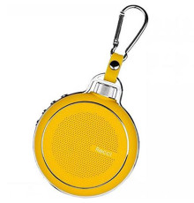 Акустическая система Recci RBS-D1 Travel Yellow (6955482589892)