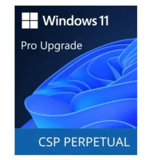 Програмний продукт Microsoft Windows 11 Pro Upgrade (DG7GMGF0D8H4-0004)